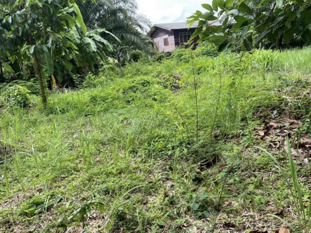 Land 200 sq.wa on a public road, 3 minutes to Mae Ramphueng Beach, Taphong photo 2