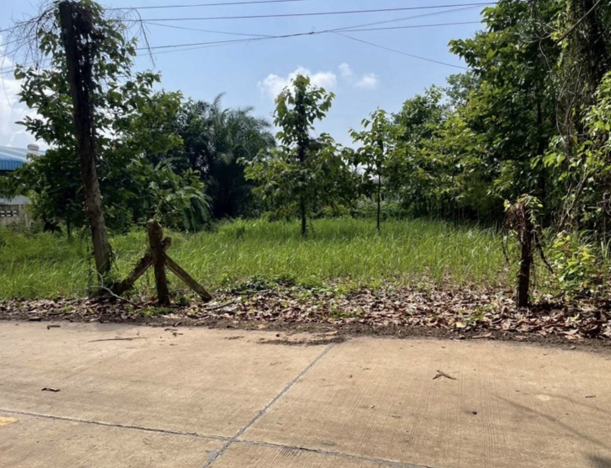 Land 200 sq.wa on a public road, 3 minutes to Mae Ramphueng Beach, Taphong photo 3