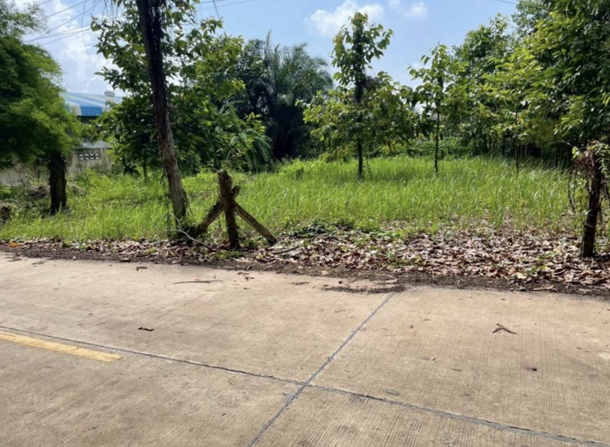 Land 200 sq.wa on a public road, 3 minutes to Mae Ramphueng Beach, Taphong photo 5
