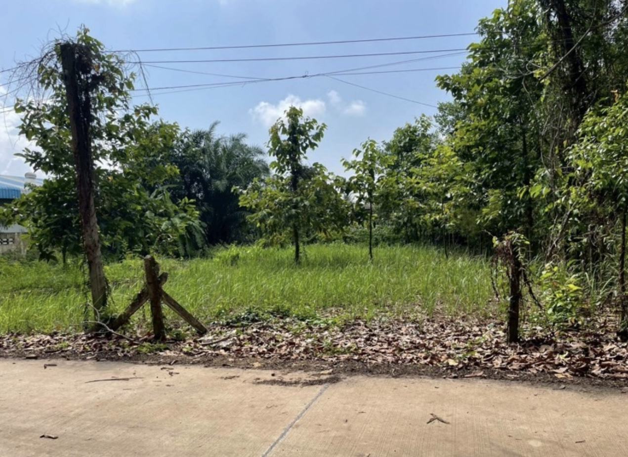 Land 200 sq.wa on a public road, 3 minutes to Mae Ramphueng Beach, Taphong photo 6