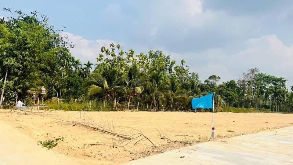 Subdivided land plots from 70 sq.wa, Ta Khan, Ban Khai — photo 10