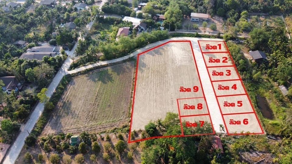 Subdivided land plots from 70 sq.wa, Ta Khan, Ban Khai — photo 4