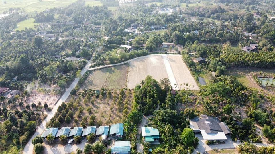 Subdivided land plots from 70 sq.wa, Ta Khan, Ban Khai — photo 8