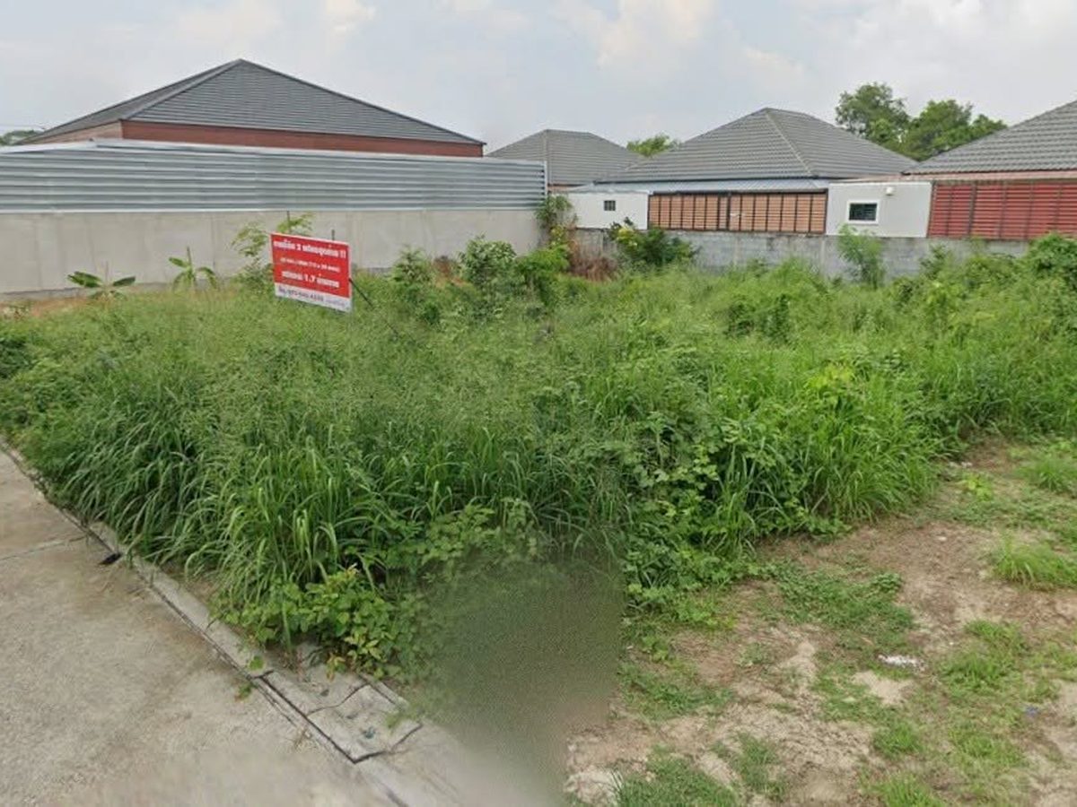 Land, 2 Adjoining Plots 60 sq.wa, Choeng Noen, Mueang Rayong, Mueang Rayong, Rayong