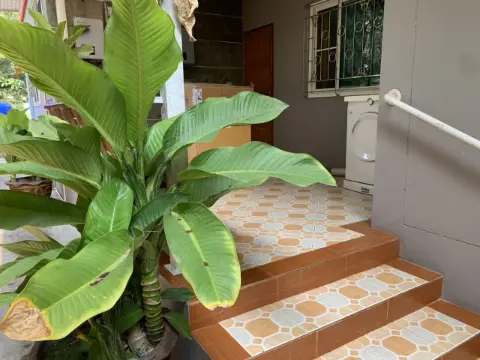Two detached houses on 1 rai 1 ngan 83 sq.wa, central Rayong photo 8