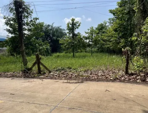 Land 200 sq.wa on a public road, 3 minutes to Mae Ramphueng Beach, Taphong photo 3