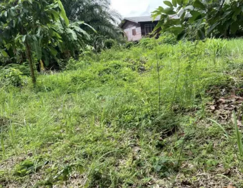 Land 200 sq.wa on a public road, 3 minutes to Mae Ramphueng Beach, Taphong photo 4