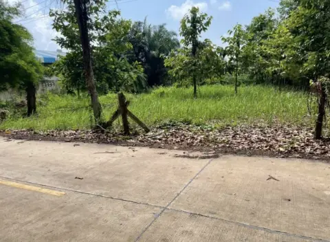 Land 200 sq.wa on a public road, 3 minutes to Mae Ramphueng Beach, Taphong photo 5