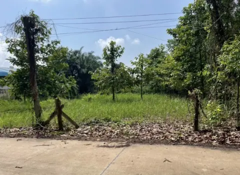 Land 200 sq.wa on a public road, 3 minutes to Mae Ramphueng Beach, Taphong photo 6