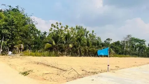 Subdivided land plots from 70 sq.wa, Ta Khan, Ban Khai — photo 10